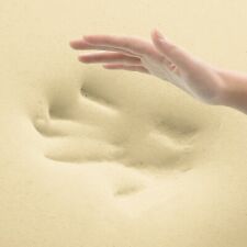 ORTHOPEDIC MEMORY FOAM